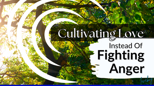 Cultivating Love Instead of Fighting Anger