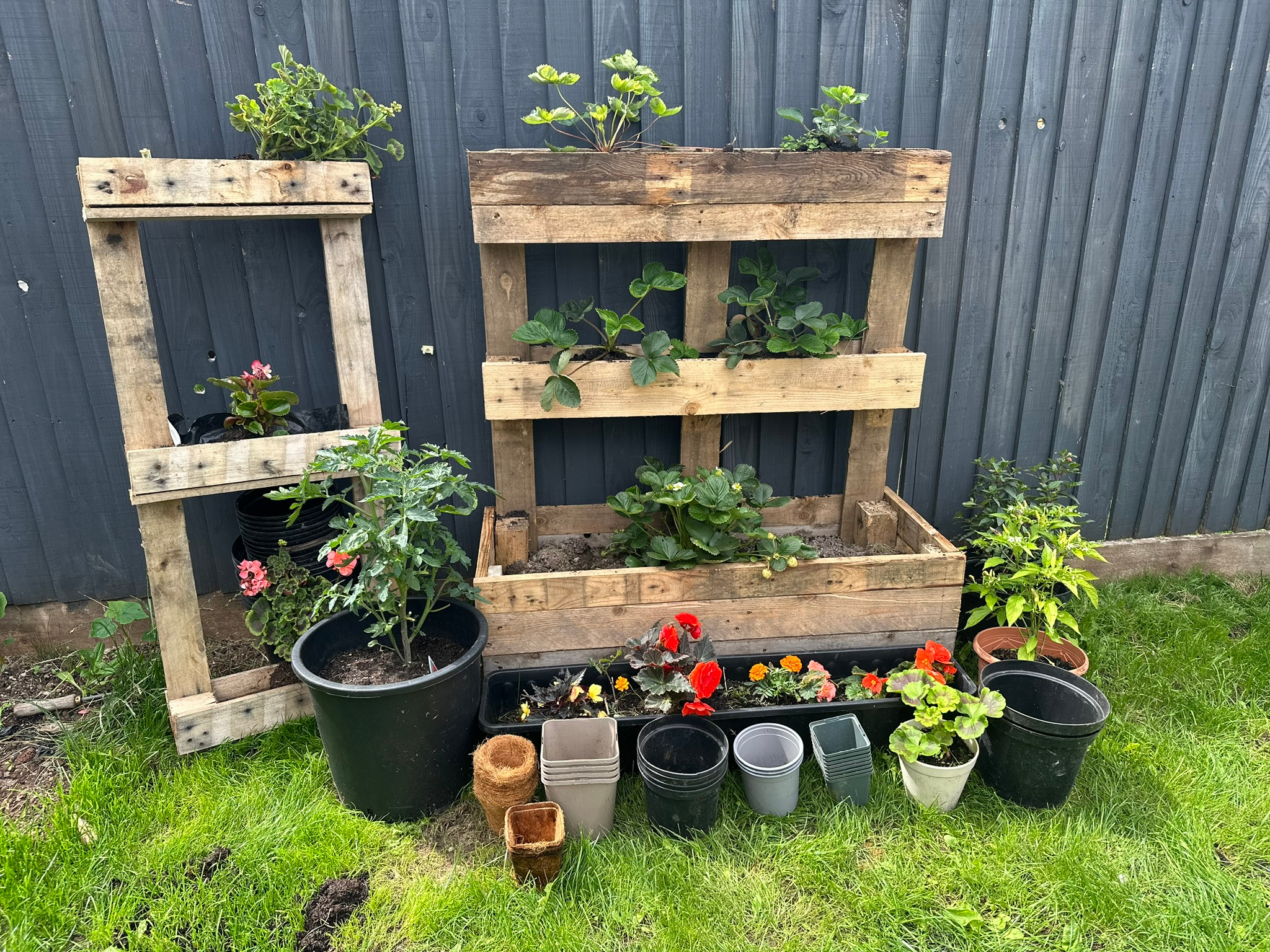Reclaimed Plastic Pot 2 Litre