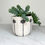 Thumbnail: 14 oz. mug/planter plaster mold