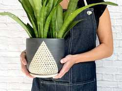 A line planter