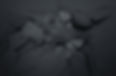 gray back 1.jpg