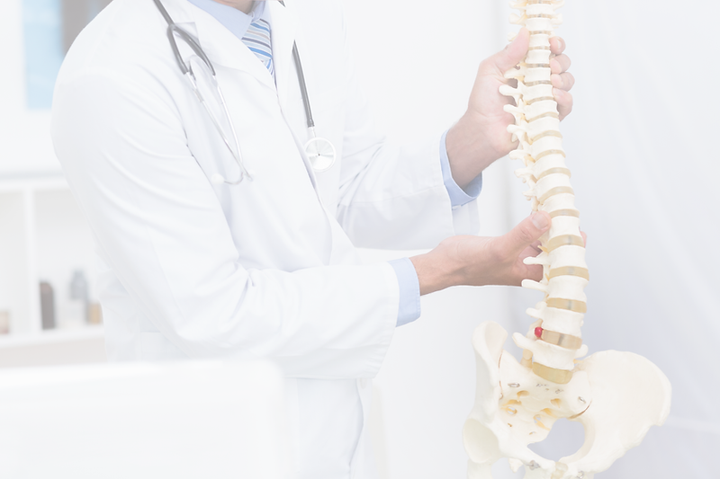 doctor-holding-anatomical-spine-`1.png