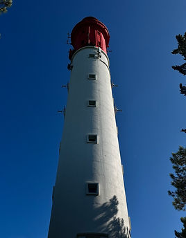 IMG_6399.jpeg