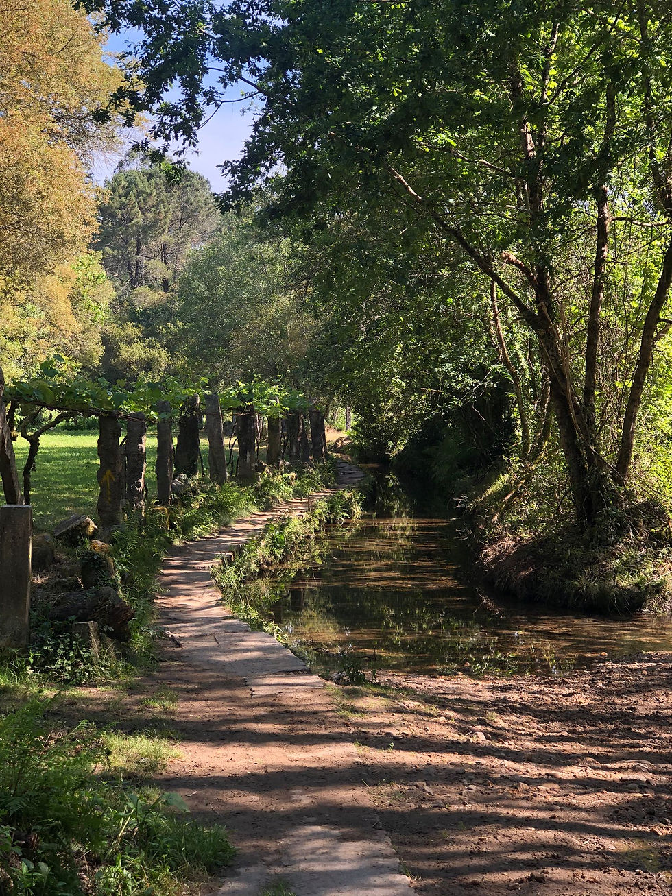 Le Chemin de Compostelle, voyage initiatique đ„Ÿ