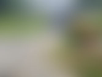 Начались ремонтные работы