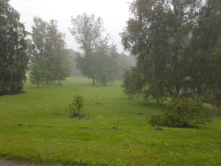 Снова дождь! Завтра будет сухо!