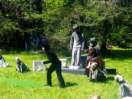 Билеты можно купить только перед входом в Ботанический сад