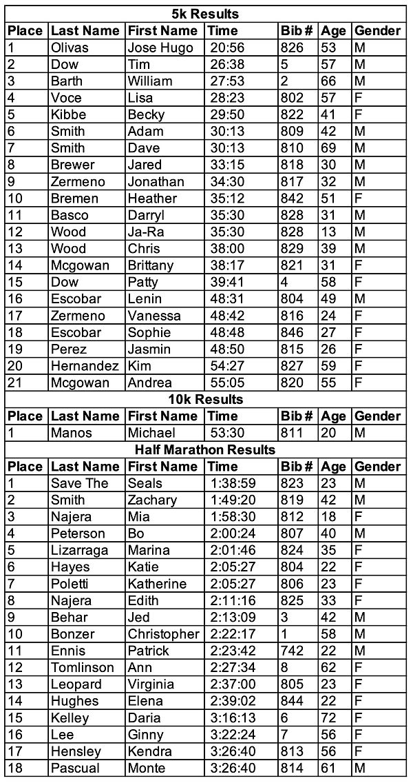 beach dash 4.25 copy 2.jpg