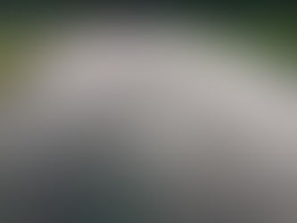 7/19 九頭竜もう少し