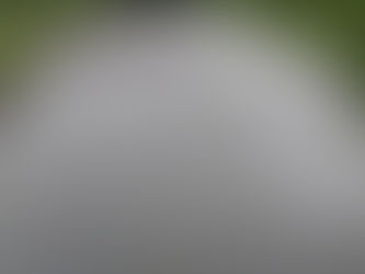 6/24九頭竜△真名川☓