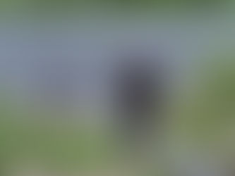 5/7稚鮎放流 その２