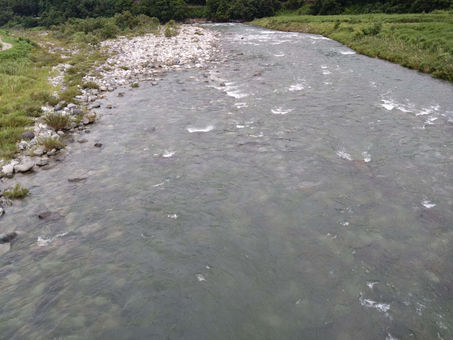 7/16 河川の状況