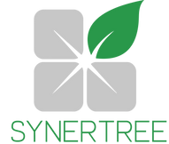 Transparent logo 1 (4).png