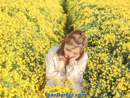 Mã giảm giá Mytour HƯNG YÊN VÀNG RỰC MÙA CÚC CHI