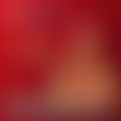 Chào mùa lễ hội rộn ràng Tận hưởng ưu đãi ngập tràn khi mua hàng tại hệ thống The 1986