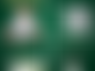 Mã giảm giá Shynh Beauty TIỀN VỚI BẠC TẦM NÀY LÀ TẦM THƯỜNG