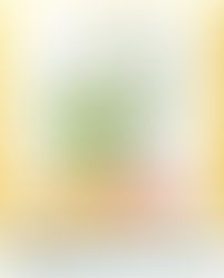 Nghe đồn Trà Xanh đang hot, nên Sendo xin được giới thiệu với mọi người vài sản phẩm đa