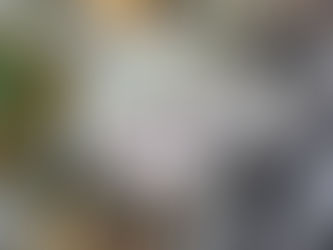 Bulova Accutron Kirkwood Open Heart Automatic Men 63A125 Swiss Made
Đồng hồ Bulova 63A1