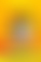 ĐẠI TIỆC ĐỒNG GIÁ CANDINO CHỈ TỪ 1999K Đón chào năm 2021 với những khởi đầu mới, Galle