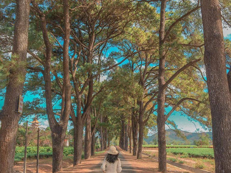 Mã giảm giá Mytour TOP ĐỊA ĐIỂM PHẢI CHECK-IN KHI ĐẾN PHỐ NÚI GIA LAI