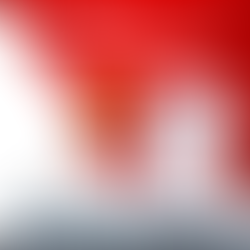 “CON SEN” CHÍNH HIỆU CHO MÙA TẾT TIỆN NGHI Lau dọn, quét nhà chắc chắn là cụm từ ám ảnh