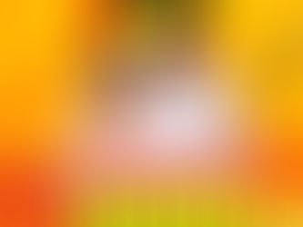 MUA SẮM THẢ GA – ĐỒNG GIÁ TỪ 999K
2000+ đồng hồ chính hãng thương hiệu: Bering, Candin