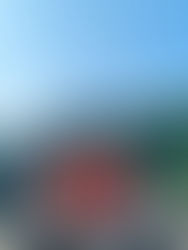 Tầm này mà không đi Ninh Bình thì hơi phí Nguồn ảnh: Huệ Mít Group Check in Vie