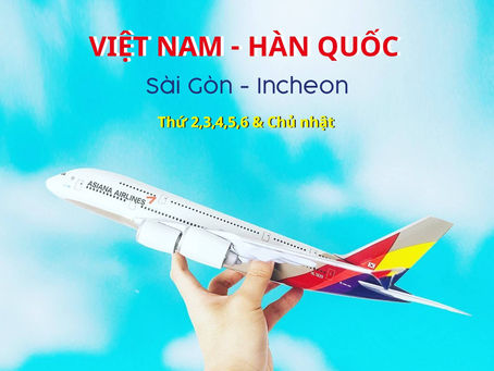 CẬP NHẬT LỊCH BAY ĐI HÀN QUỐCTHÁNG 1/2021 HÃNG ASIANA AIRLINES
Hãng Asiana Airlines cập