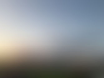 夏の写真