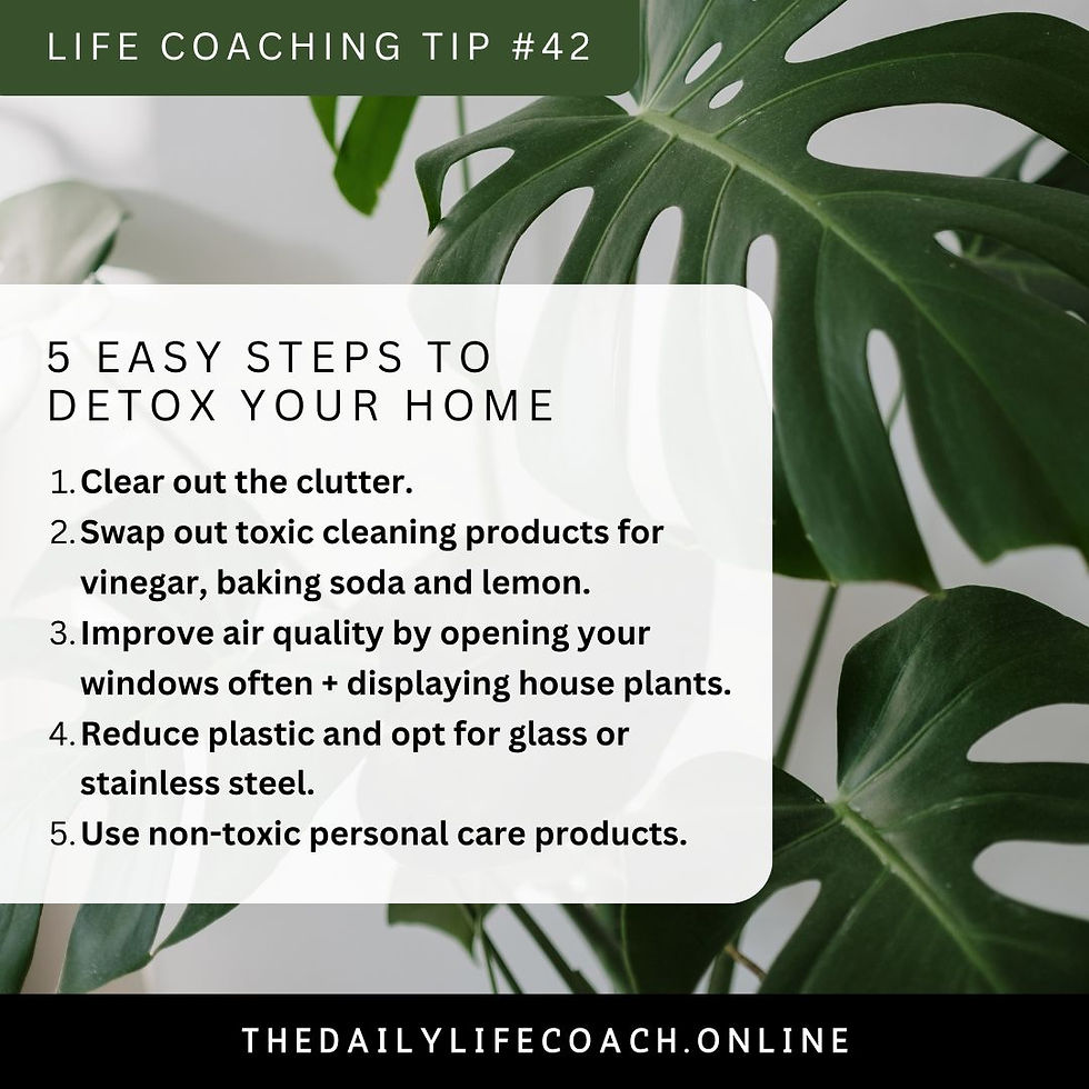 Wellness Wednesday | 5 Easy ways to detox your home for a healthier, happier space