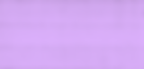 purple-01.png