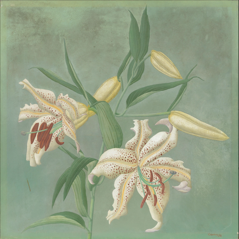 Spotted Lilies, 1936