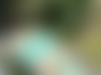 Giresun (2022 & 2023)