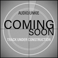 audiojunkie pop musician producer songwriter