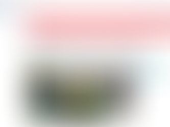 19 sept 23: Más del 70% de los chilenos cree que delincuencia aumentará en los próximos meses