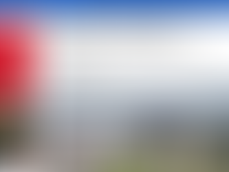 14 sept 23: Huachipato evalúa posible cierre por crítica situación económica