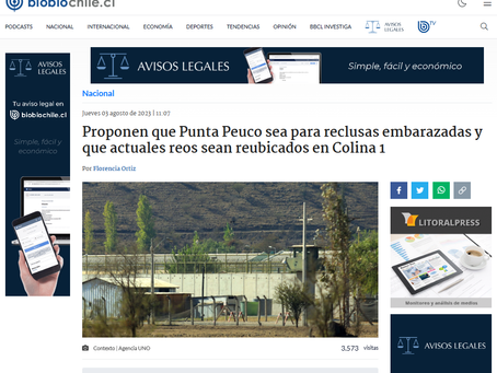 2 agosto 23: Se propone disponer Punta Peuco para mujeres embarazas y actuales presos en Colina 1