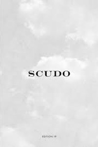 scudo 19.jpeg