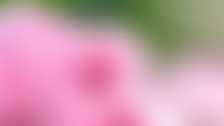 5月の晴れた日に