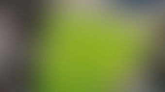 春、足早に過ぎゆく。