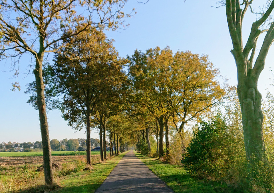 DSC_2735.jpg