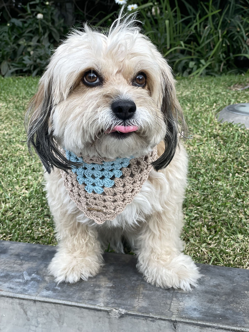Miniatura: Bandana Crochet Beige y Celeste
