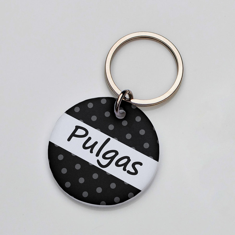 Miniatura: Placa de identificación Puntos para perros y gatos