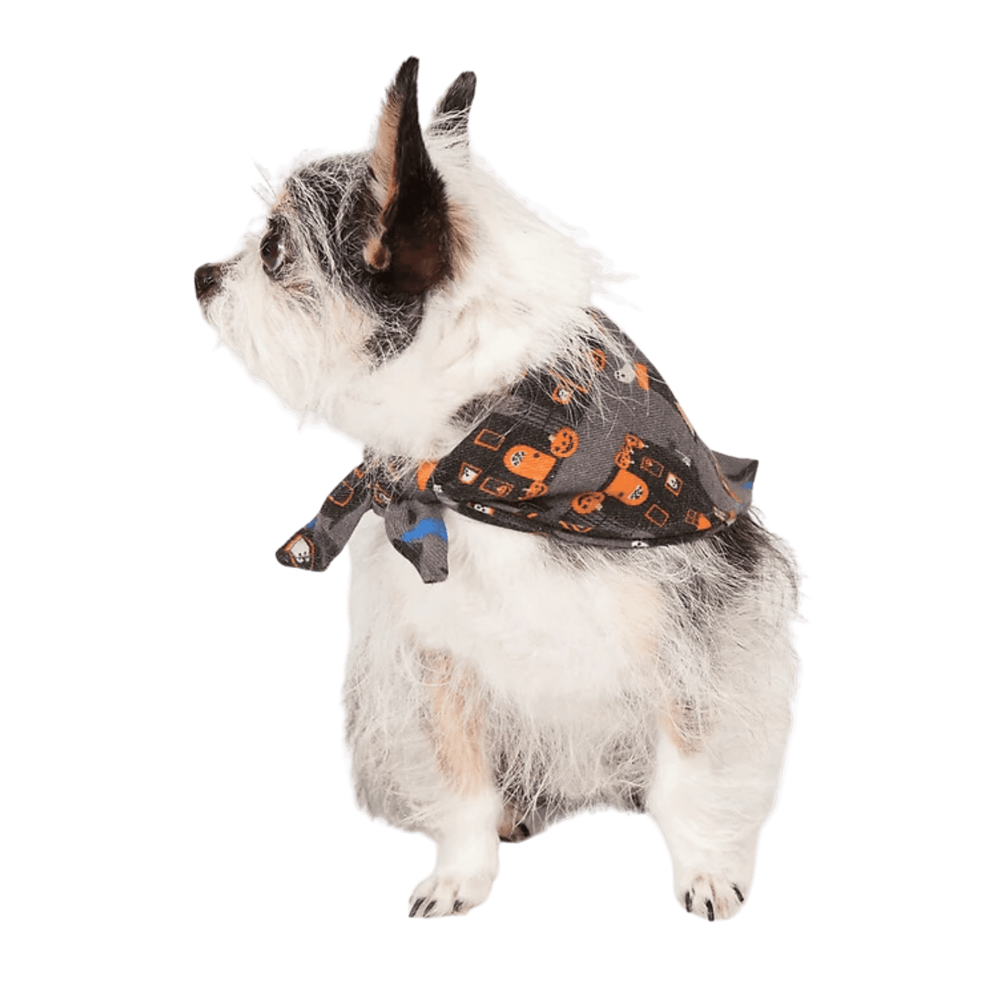 Bandana Spooky Town Halloween para perros