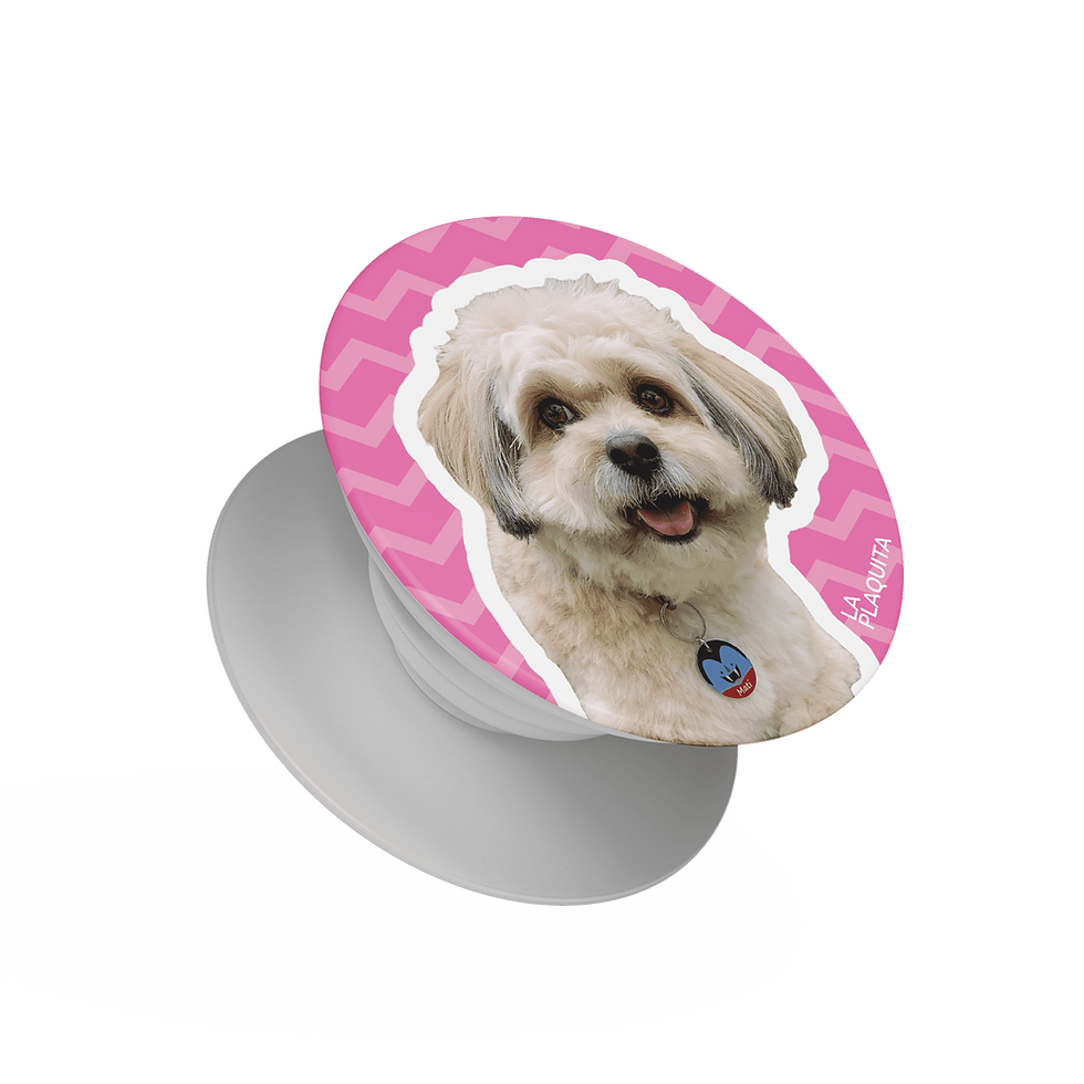 Miniatura: Pet Socket Blanco Zigzag