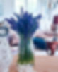 Screenshot_20231012_135823_Photos.jpg