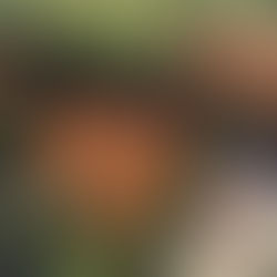 teniski tereni u Gospinom polju