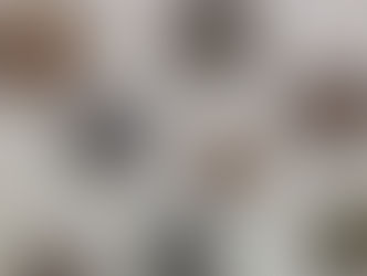 Rimski novčiči iz dubrovačke katedrale