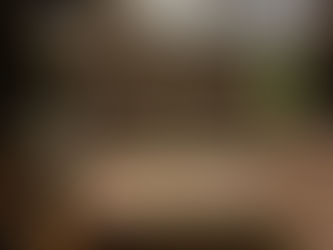 Knjiga dr. sc. Vinicija Lupisa i dr. sc Elvisa Shale