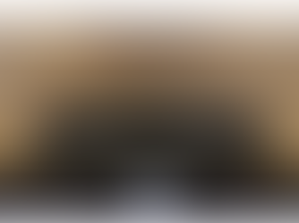 Kako je Rus u Dubrovniku prvi otkrio što se radi s "kohezijskim" fondovima?